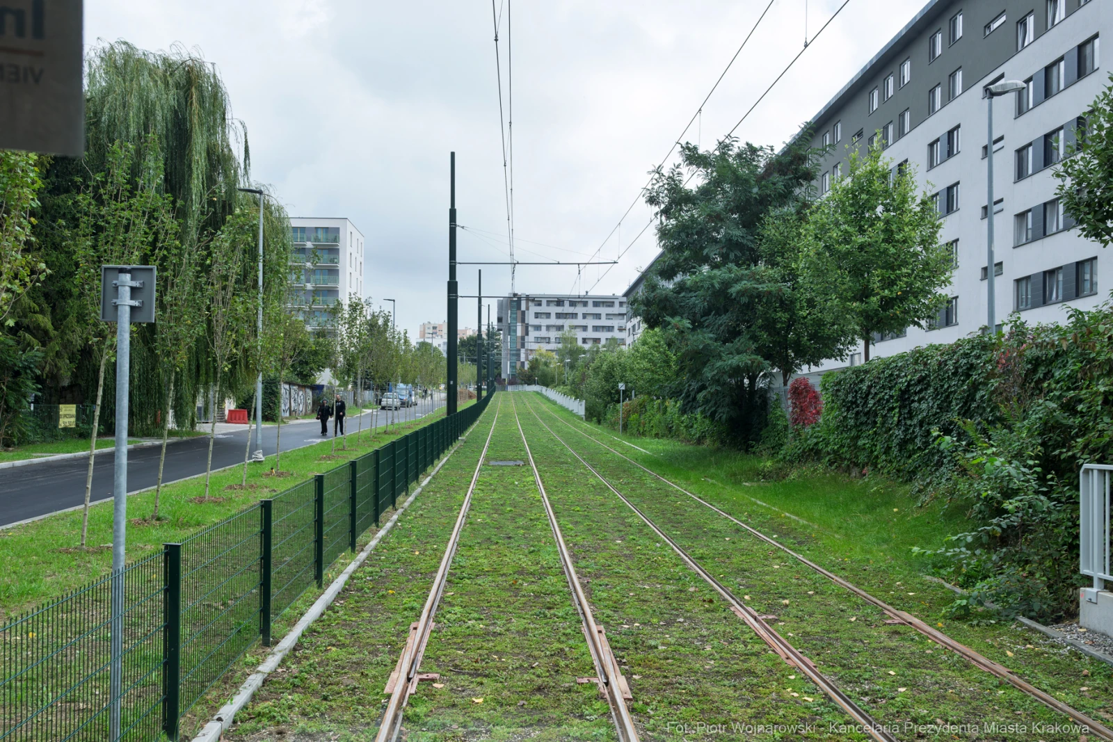 Tory tramwajowe wzdłuż zielonej przestrzeni miejskiej.  Autor: Piotr Wojnarowski
