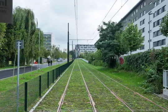 Tory tramwajowe wzdłuż zielonej przestrzeni miejskiej.