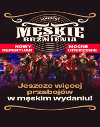 Logo: Męskie Brzmienia