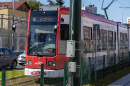 Tramwaj linii 16 na przystanku w mieście.