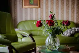 Bukiet czerwonych róż w wazonie na stoliku w zielonym salonie.