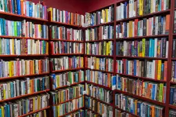 Półki z książkami w kolorowej bibliotece.