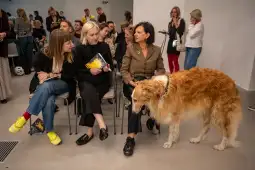 Grupa ludzi siedzących na krzesłach, wśród nich pies rasy golden retriever.