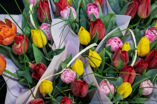 Bukiety kolorowych tulipanów w różnych odcieniach.