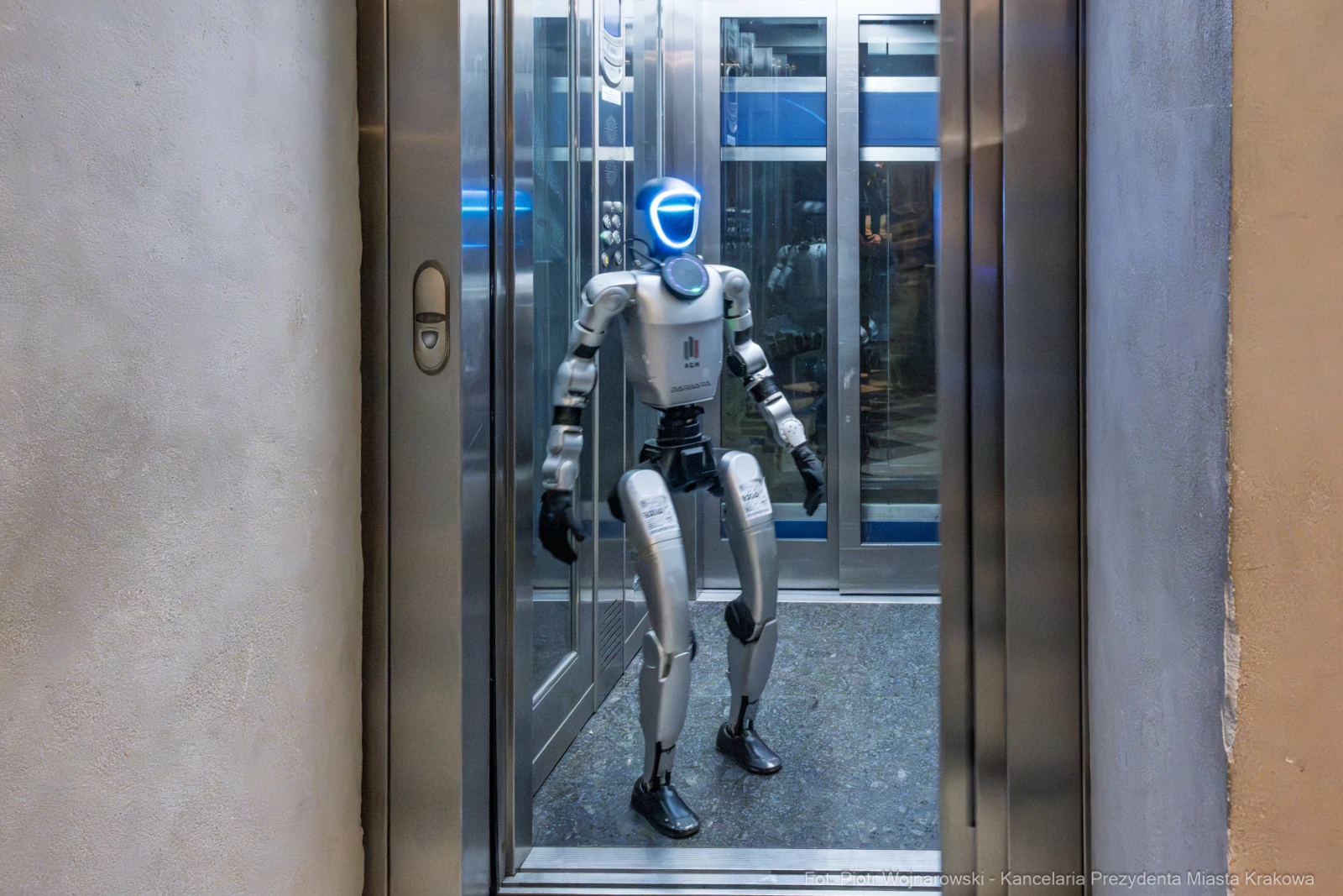 Robot w windzie.  Autor: Piotr Wojnarowski