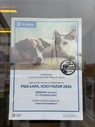 Plakat zapraszający do zbiórki karmy dla psów i kotów w Krakowie.