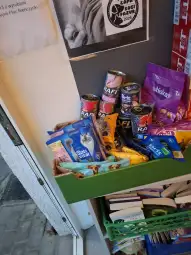 Półka z karmą dla zwierząt, puszki i opakowania różnych marek.