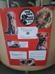 Plakat promujący zbiórkę dla schroniska z wizerunkami psów i informacjami o akcji.