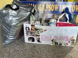 Zbiórka darów dla psów i kotów w kartonie oraz torbie.