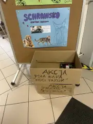 Pudełka z darami dla psów i kotów w schronisku, plakat promujący akcję.