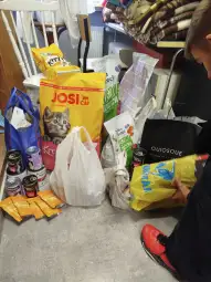 Zbiór różnych toreb z jedzeniem dla zwierząt i artykułami gospodarstwa domowego.