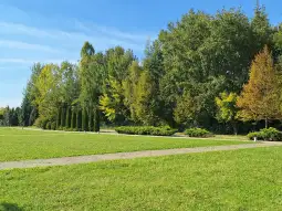 Zielony park z alejkami, drzewami i krzewami w słoneczny dzień.