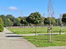 Park z alejkami, drzewami i zieloną trawą w słoneczny dzień.