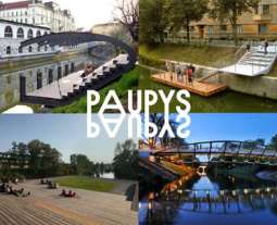 Paupys 4