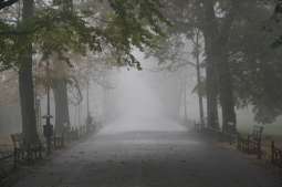 Więźniowie będa sprzątać Kraków