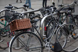 Ścieżka połączy rondo Matecznego z Borkiem Fałęckim