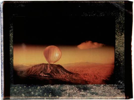 Polaroid Gigante