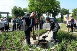 Dąb i szkoła na 600–lecie lokacji Swoszowic