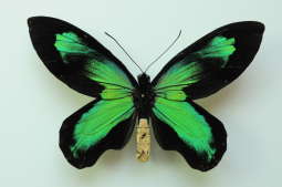 Weekendowy rozkład jazdy