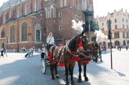 Weekendowy rozkład jazdy