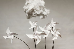 Kamila_Dziedziniewicz