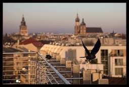 Weekendowy rozkład jazdy