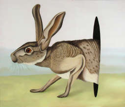 Nowe wystawy w MOCAK-u (konkurs)