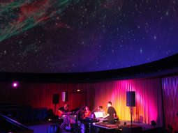 Shy Albatros w Norymberdze