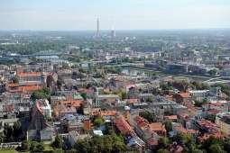 Rośliny pomogą walczyć z pyłami