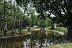 Miasto w zieleni: konsultacje trwają