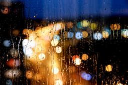 Miasto dopłaca do zbierania deszczówki