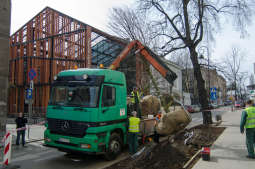 Sadzimy drzewa na ulicy Rajskiej [FOTO i WIDEO]