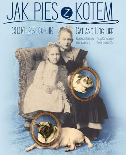 Jak pies z kotem