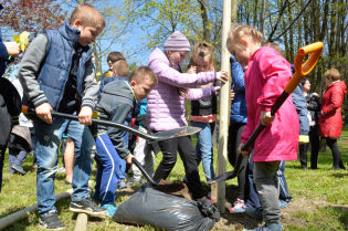 Dzień Ziemi, sadzenie