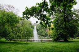 Miasto w zieleni: rozpoczyna się drugi etap konsultacji