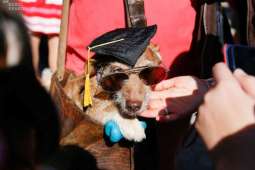 Zapraszamy na 22. Marsz Jamników 