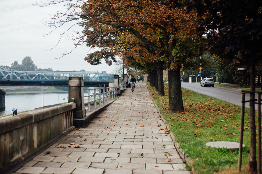 Jesienne porządki w Krakowie. Zapakuj liście i gałęzie do worków