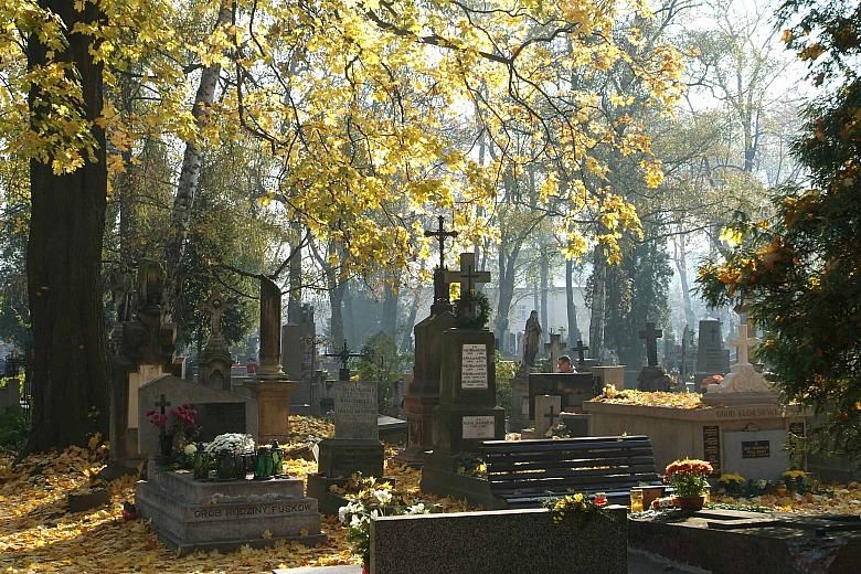 Wszystkich Świętych - informacje praktyczne