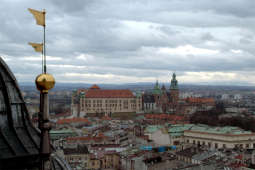 Aplikacja SMOGO BILETY KRAKÓW poinformuje o darmowej komunikacji