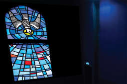 Zapraszamy na filmową Arkę  [KONKURS] 