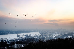 SMOG! 01.02-2.02.2017 - bezpłatna KMK dla kierowców!