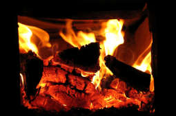 Sprawdź, kiedy będą czynne punkty informacyjno-doradcze ws. PONE