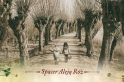 Zapraszamy na literacki „Spacer Aleją Róż”