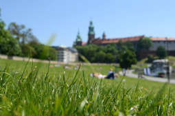 Nie wypalaj traw! To niszczy środowisko 
