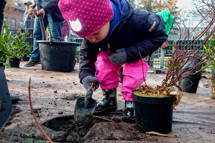 Dołącz do zielonej ofensywy