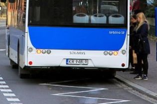 Autobus do ZOO: więcej kursów i kontroli