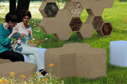 Powstaną kolejne łąki kwietne