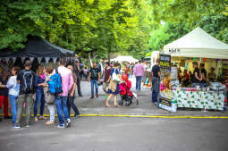 Zatrać się w zieleni na Pikniku Krakowskim