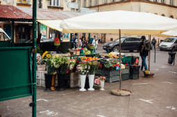 Alternatywna Przestrzeń publiczna, czyli „Nowy Plac Nowy”