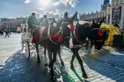 Wydłużone godziny zakazu postoju dorożek na Rynku Głównym